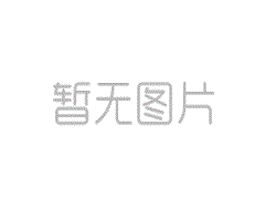 SWP-CY100A差压指示器